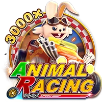 ANIMAL RACING - SPONSOR777
