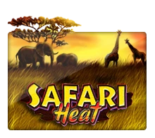 Safari Heat - SPONSOR777