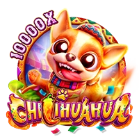 CHILIHUAHUA - SPONSOR777