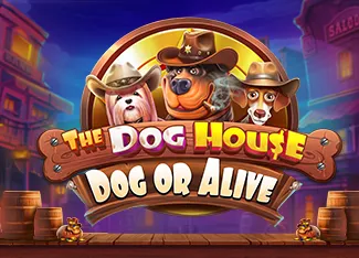 The Dog House - Dog or Alive - SPONSOR777