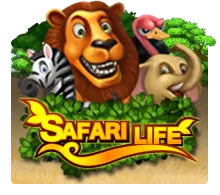 Safari Life - SPONSOR777