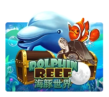 Dolphin Reef - SPONSOR777