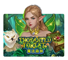 Enchanted Forest - SPONSOR777